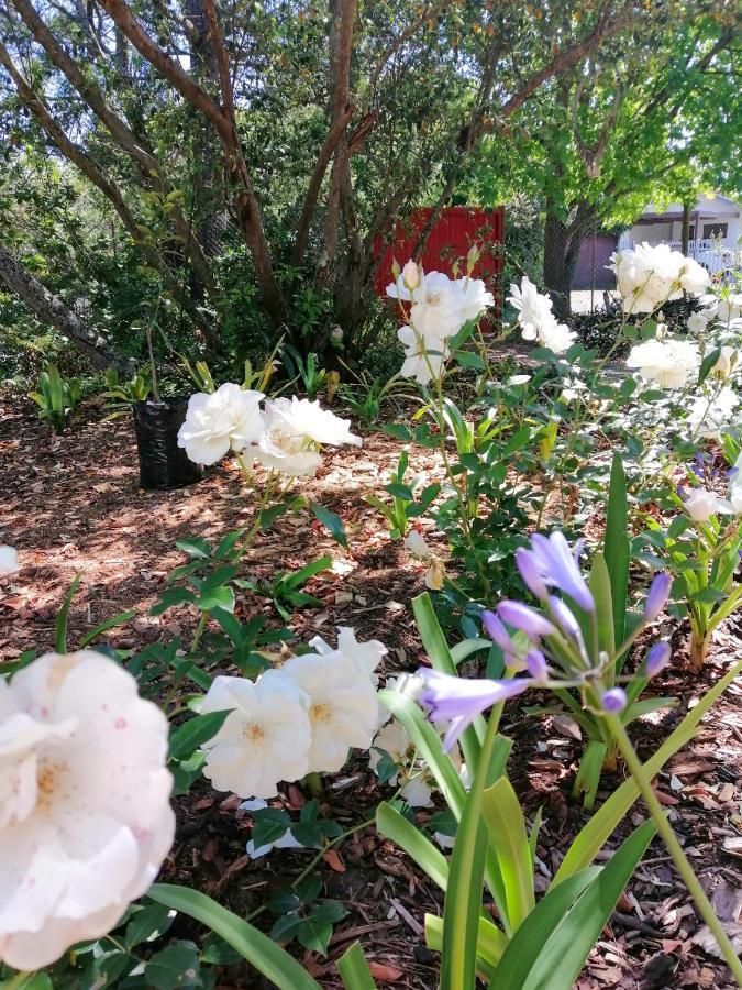 The Red Gate Suite For Garden Route Tranquility George Extérieur photo