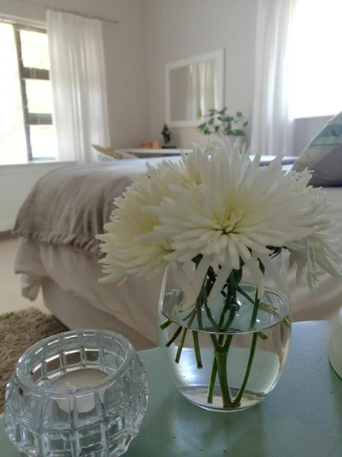 The Red Gate Suite For Garden Route Tranquility George Extérieur photo